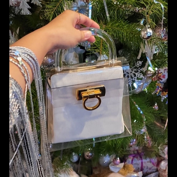 Salvatore Ferragamo Handbags - Rare Salvatore Ferragamo flexy glass bag